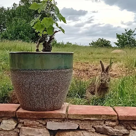 Holiday home Gite Tonnac
